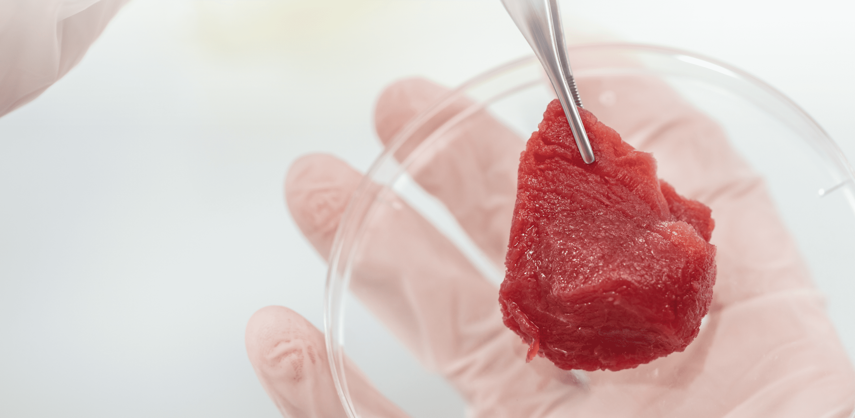 Cultured-meat
