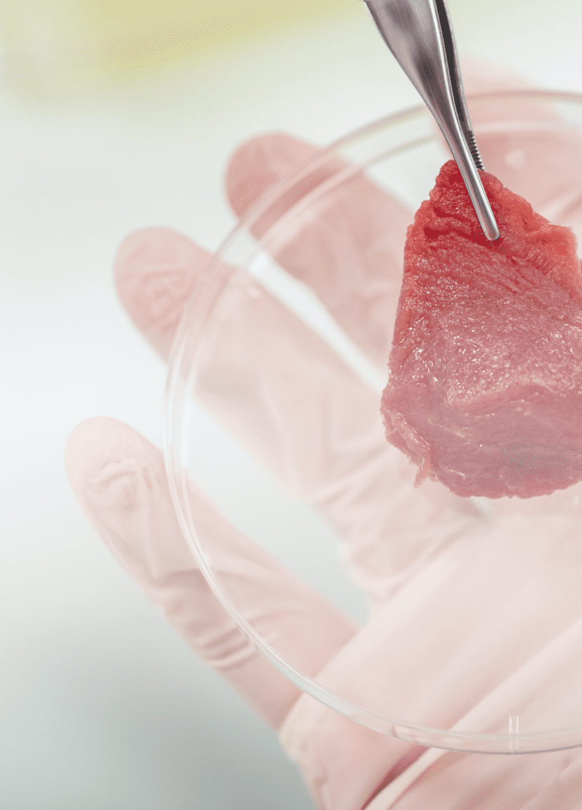 Cultured-meat